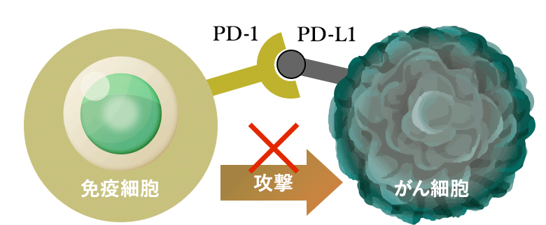 免疫チェックポイント阻害剤